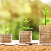 The key role of a business lawyer in the business world